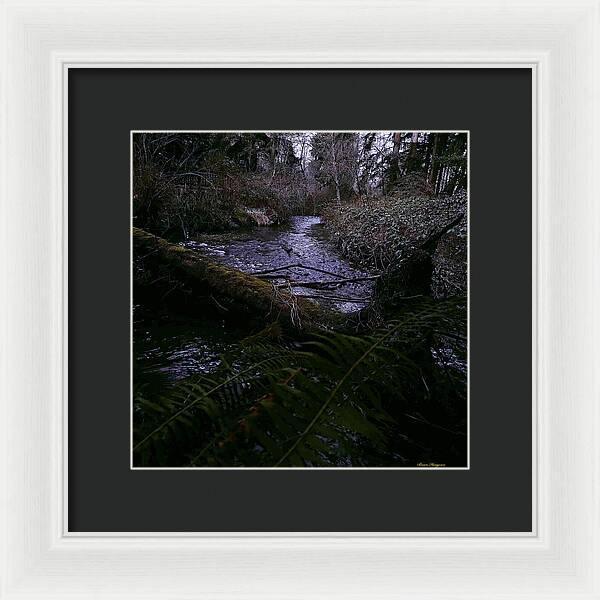 Moss-Covered Tranquil Stream - Framed Print