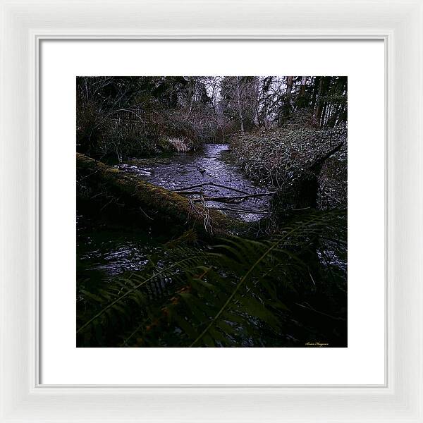 Moss-Covered Tranquil Stream - Framed Print