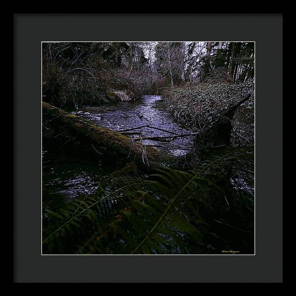 Moss-Covered Tranquil Stream - Framed Print