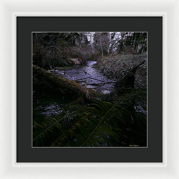 Moss-Covered Tranquil Stream - Framed Print