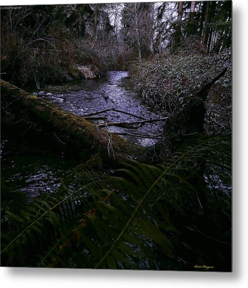 Moss-Covered Tranquil Stream - Metal Print