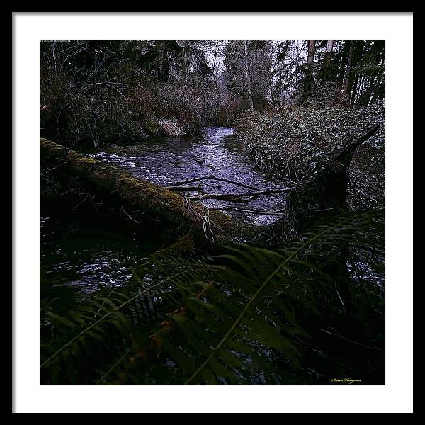 Moss-Covered Tranquil Stream - Framed Print