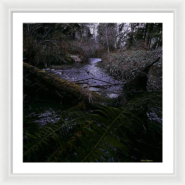 Moss-Covered Tranquil Stream - Framed Print