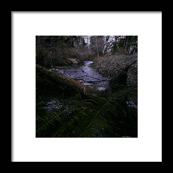 Moss-Covered Tranquil Stream - Framed Print