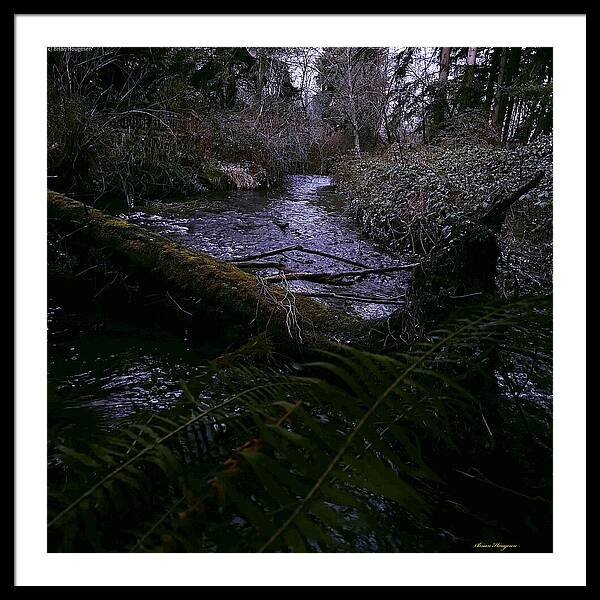 Moss-Covered Tranquil Stream - Framed Print