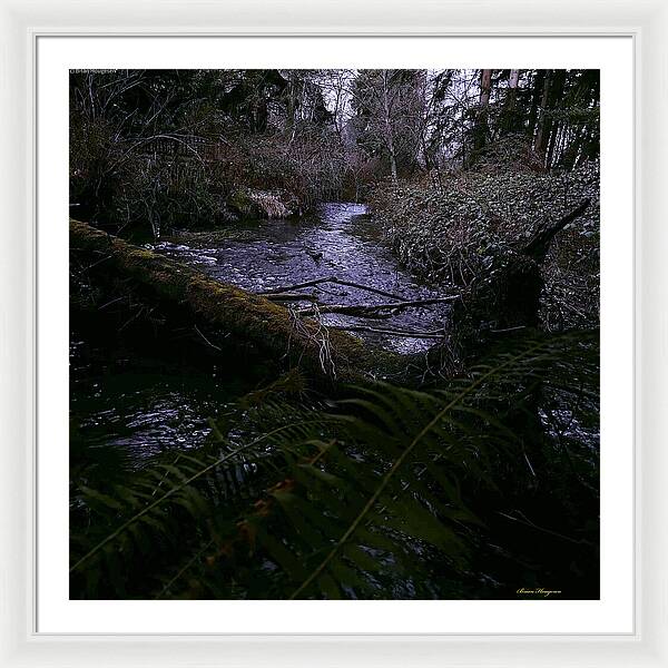 Moss-Covered Tranquil Stream - Framed Print