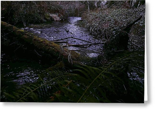 Moss-Covered Tranquil Stream - Greeting Card