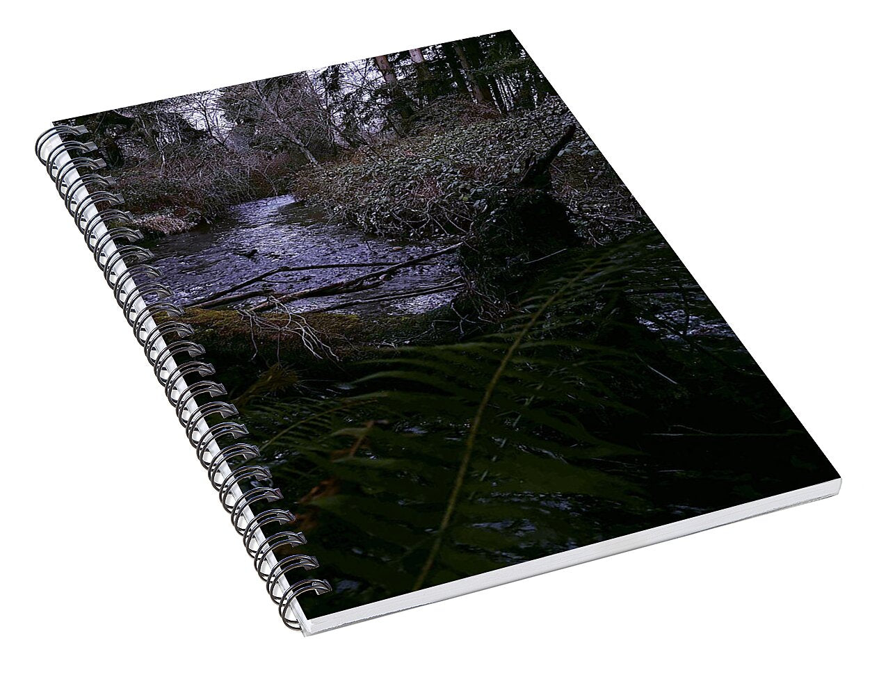 Moss-Covered Tranquil Stream - Spiral Notebook