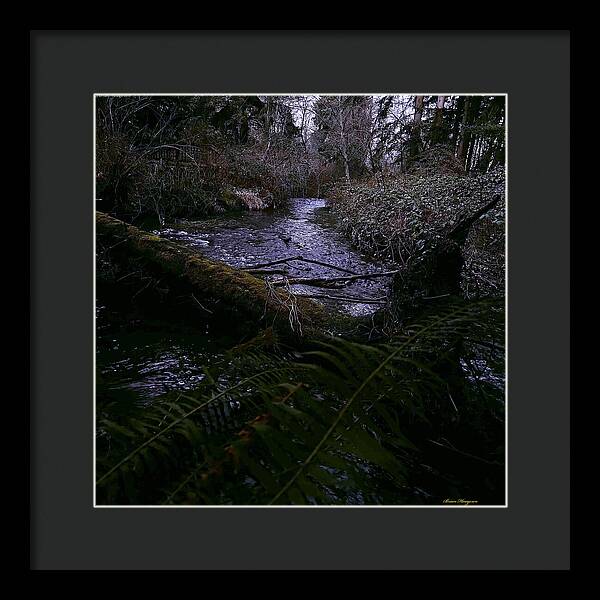 Moss-Covered Tranquil Stream - Framed Print