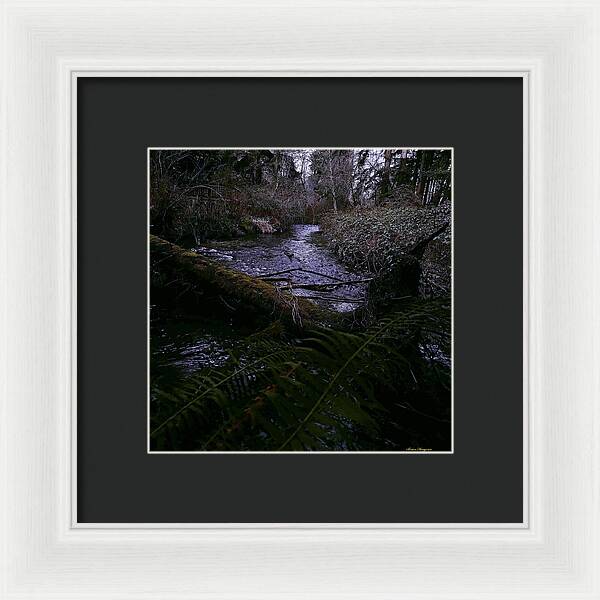 Moss-Covered Tranquil Stream - Framed Print