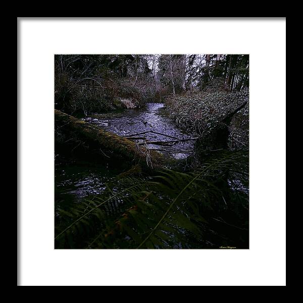 Moss-Covered Tranquil Stream - Framed Print