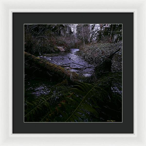 Moss-Covered Tranquil Stream - Framed Print