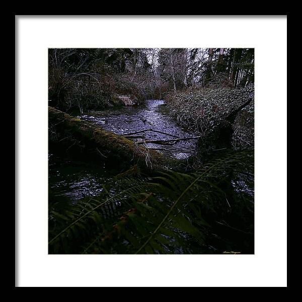 Moss-Covered Tranquil Stream - Framed Print