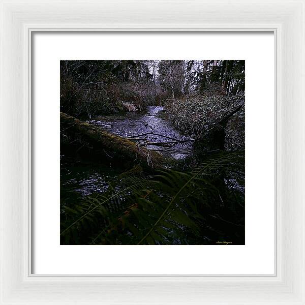 Moss-Covered Tranquil Stream - Framed Print