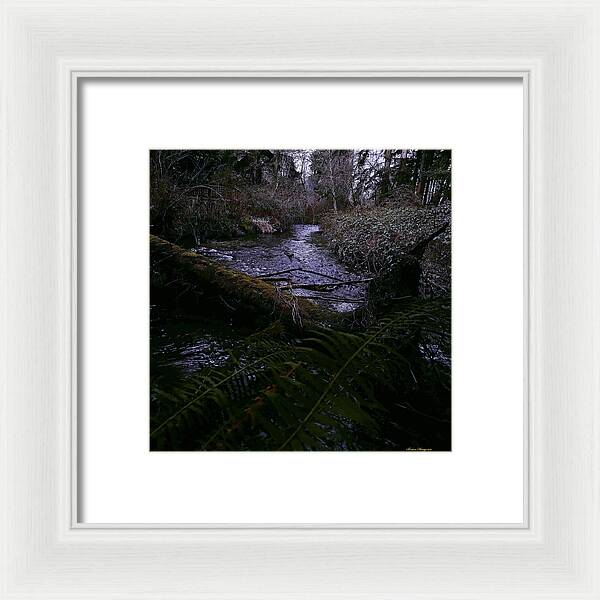 Moss-Covered Tranquil Stream - Framed Print
