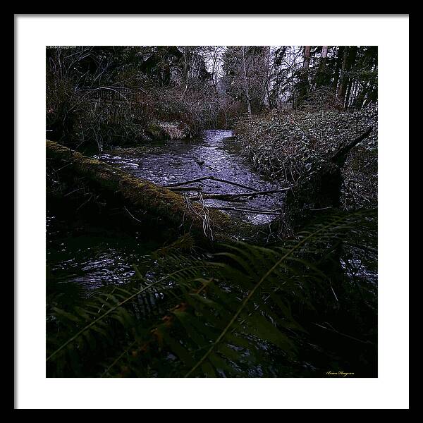 Moss-Covered Tranquil Stream - Framed Print