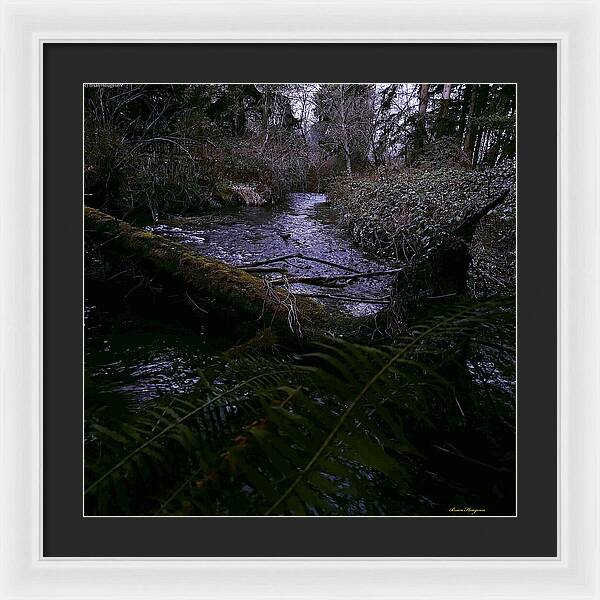 Moss-Covered Tranquil Stream - Framed Print