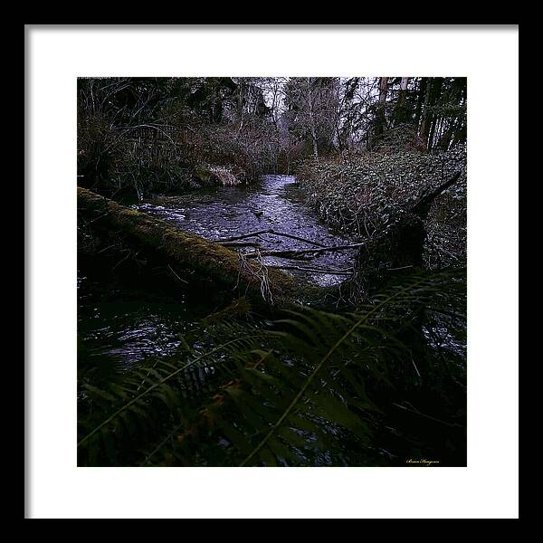 Moss-Covered Tranquil Stream - Framed Print