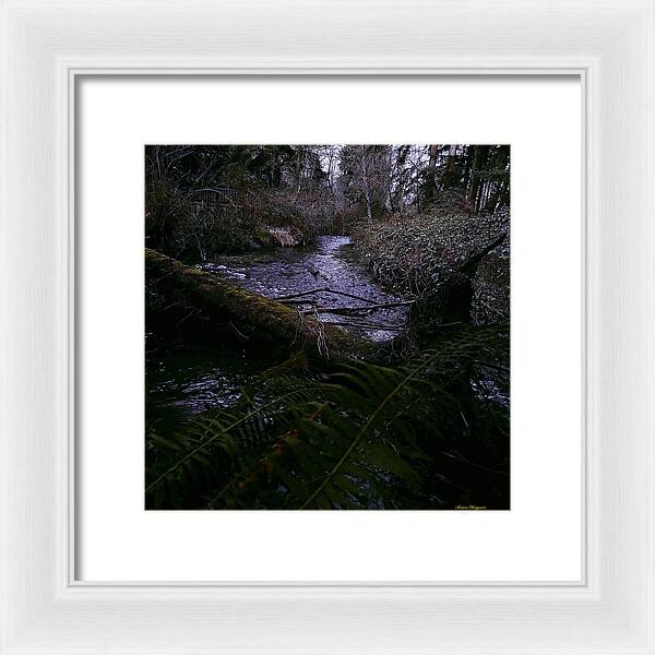 Moss-Covered Tranquil Stream - Framed Print