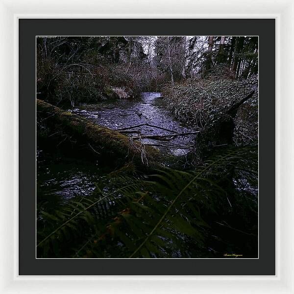 Moss-Covered Tranquil Stream - Framed Print
