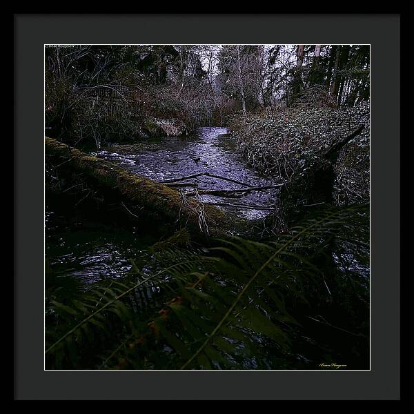 Moss-Covered Tranquil Stream - Framed Print