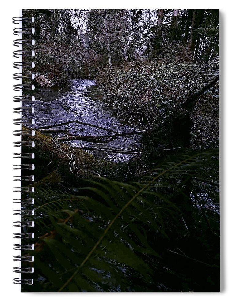 Moss-Covered Tranquil Stream - Spiral Notebook