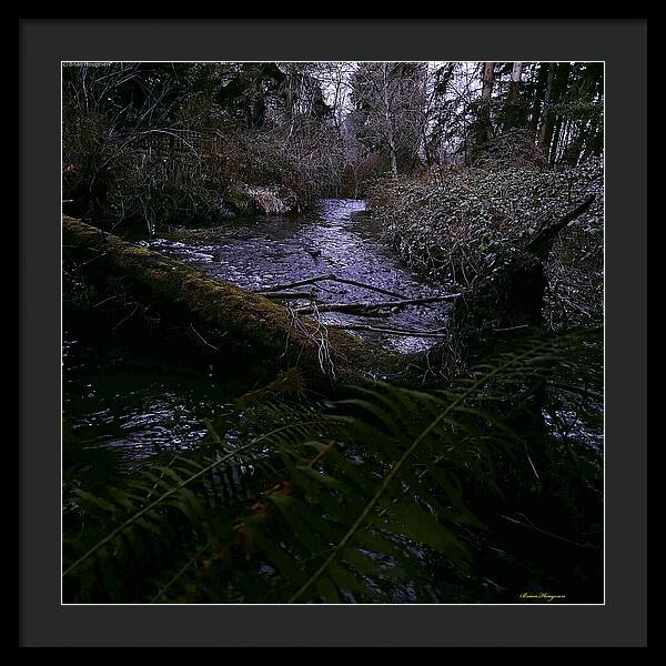 Moss-Covered Tranquil Stream - Framed Print