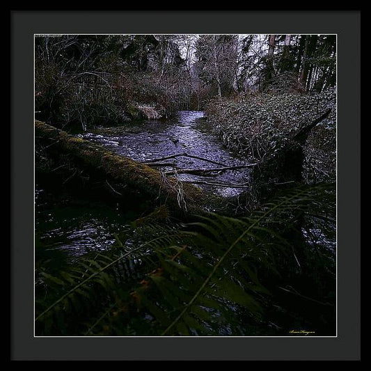 Moss-Covered Tranquil Stream - Framed Print