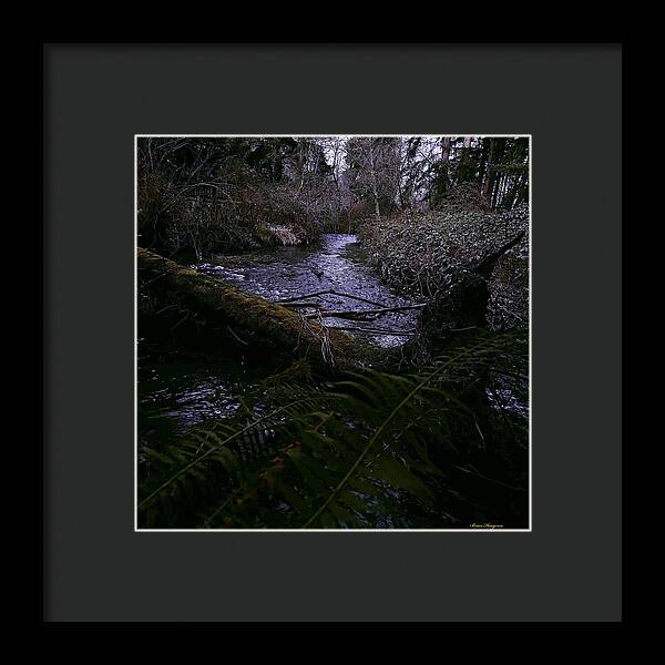 Moss-Covered Tranquil Stream - Framed Print