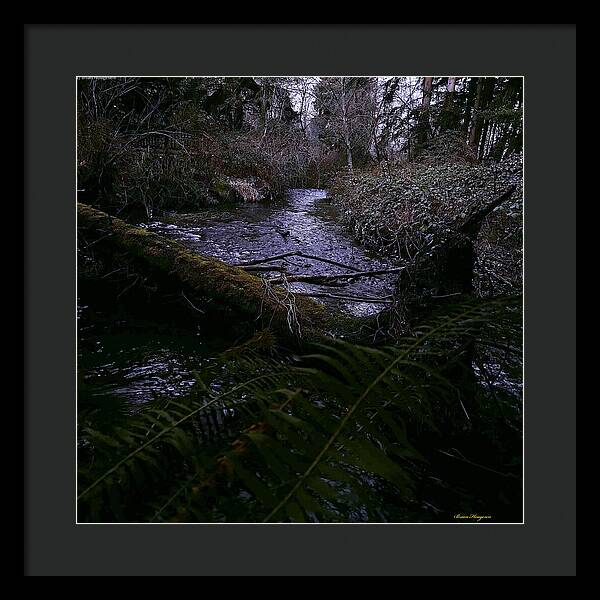 Moss-Covered Tranquil Stream - Framed Print