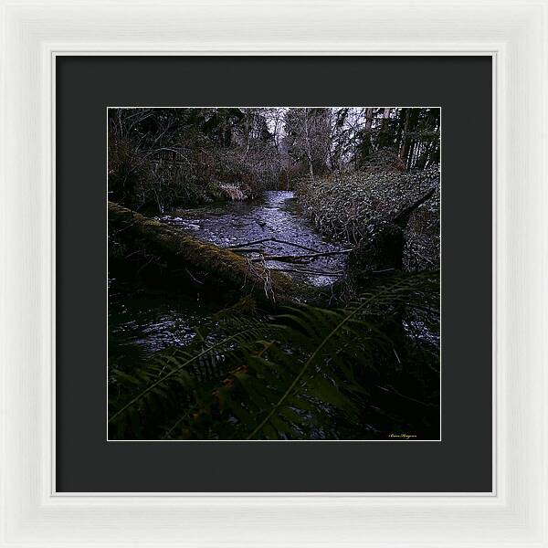 Moss-Covered Tranquil Stream - Framed Print