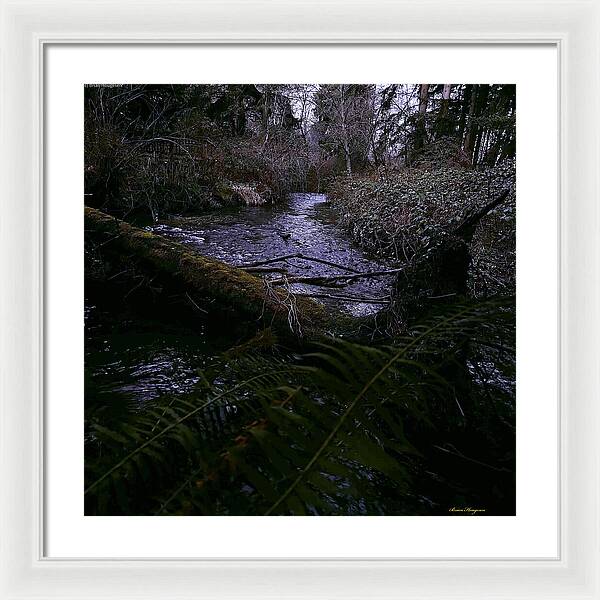 Moss-Covered Tranquil Stream - Framed Print
