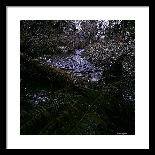 Moss-Covered Tranquil Stream - Framed Print