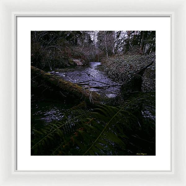 Moss-Covered Tranquil Stream - Framed Print