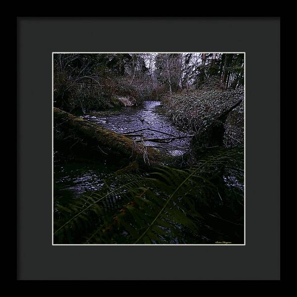 Moss-Covered Tranquil Stream - Framed Print