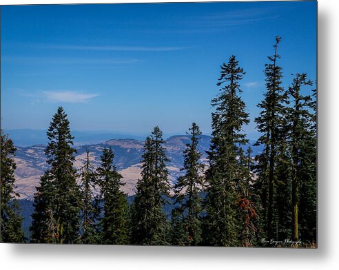 Mt Shasta 3 - Metal Print