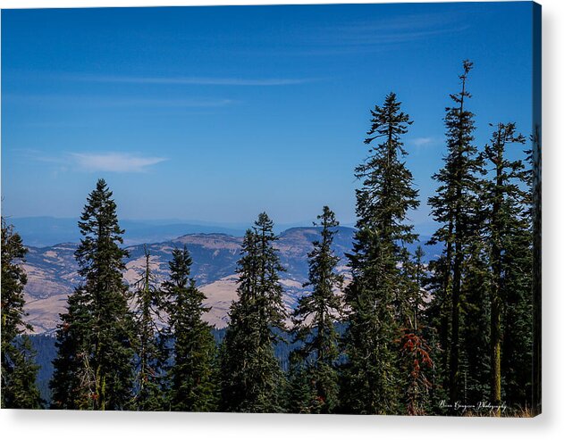 Mt Shasta 3 - Acrylic Print