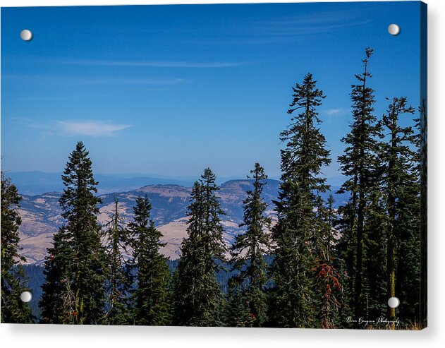 Mt Shasta 3 - Acrylic Print
