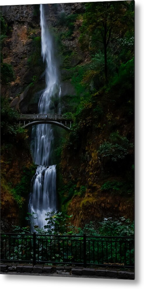 Multnomah Falls - Metal Print