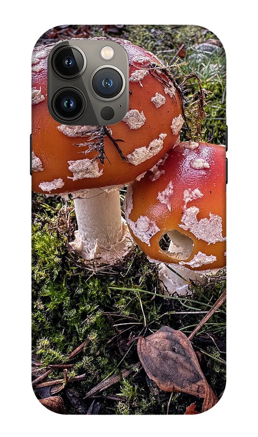 Mushrooms - Phone Case