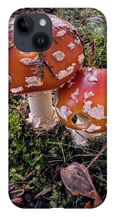 Mushrooms - Phone Case