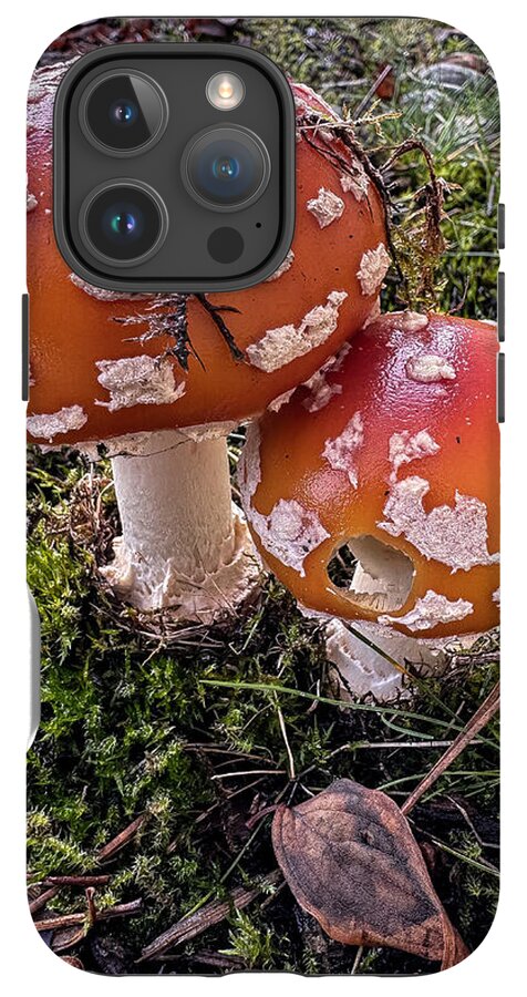 Mushrooms - Phone Case