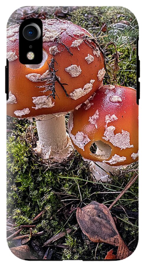 Mushrooms - Phone Case