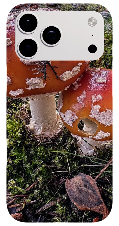 Mushrooms - Phone Case