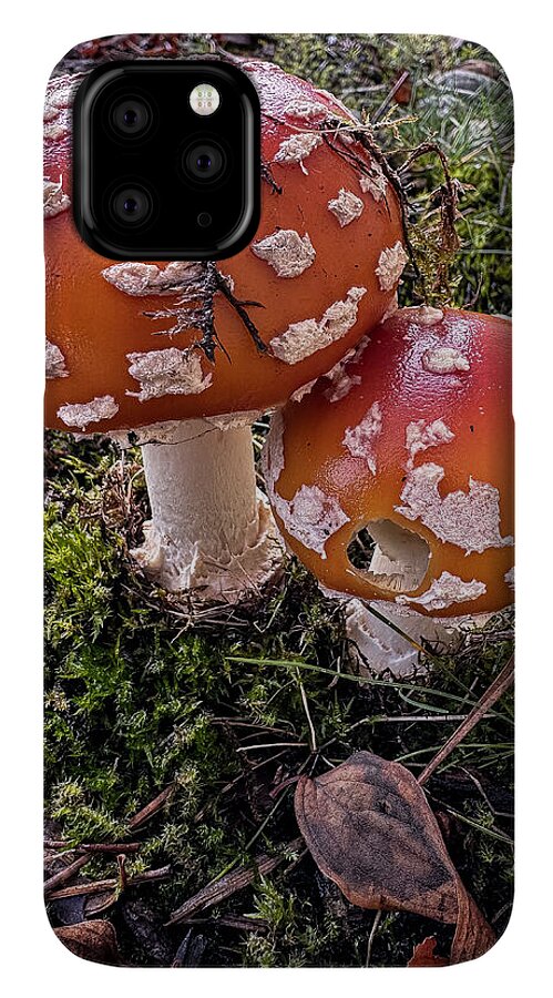Mushrooms - Phone Case