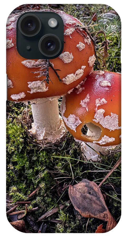 Mushrooms - Phone Case