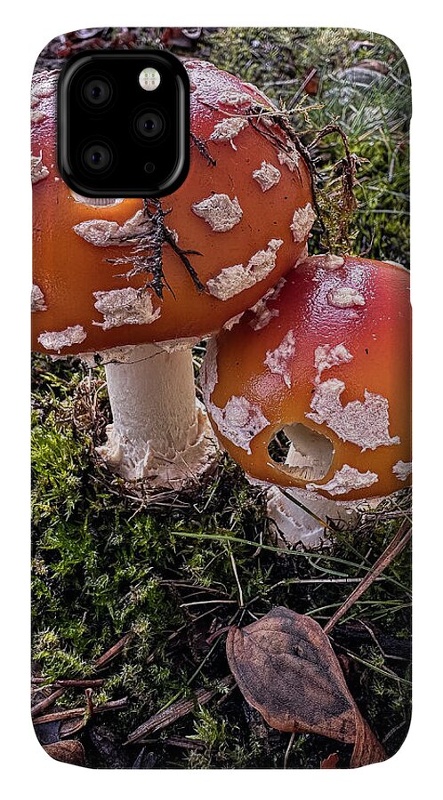Mushrooms - Phone Case
