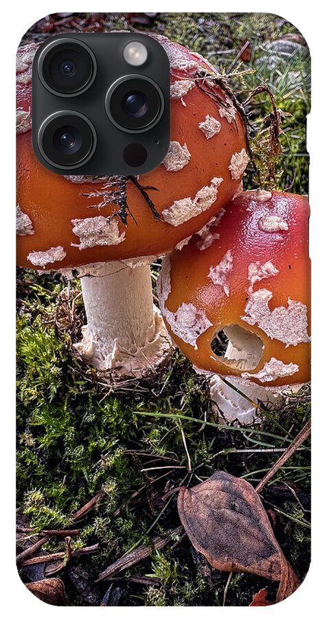 Mushrooms - Phone Case