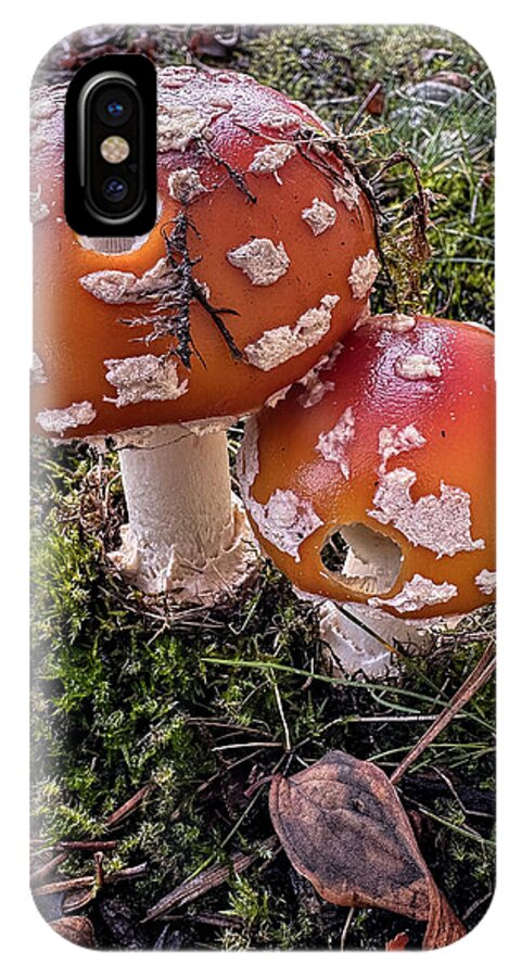 Mushrooms - Phone Case