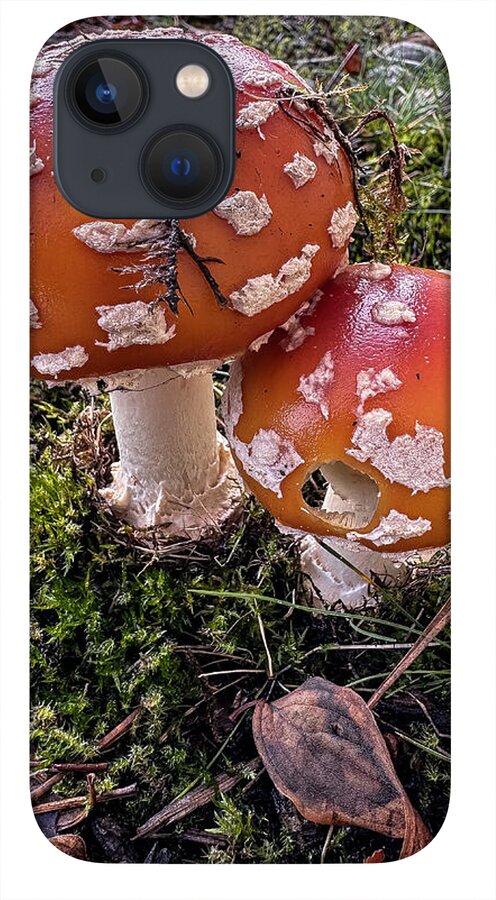 Mushrooms - Phone Case